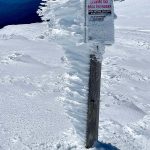 Img 9477